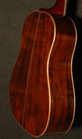 Clark Fork - Brazilian+ - Back View