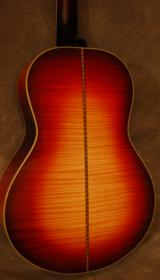 Gus Sunburst - Back View